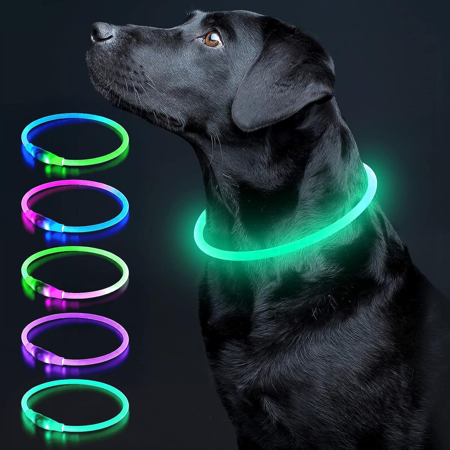 LED Dog Collar - Rechargeable TPU Glow Safety Collar for Dogs of All Sizes (Cyan)