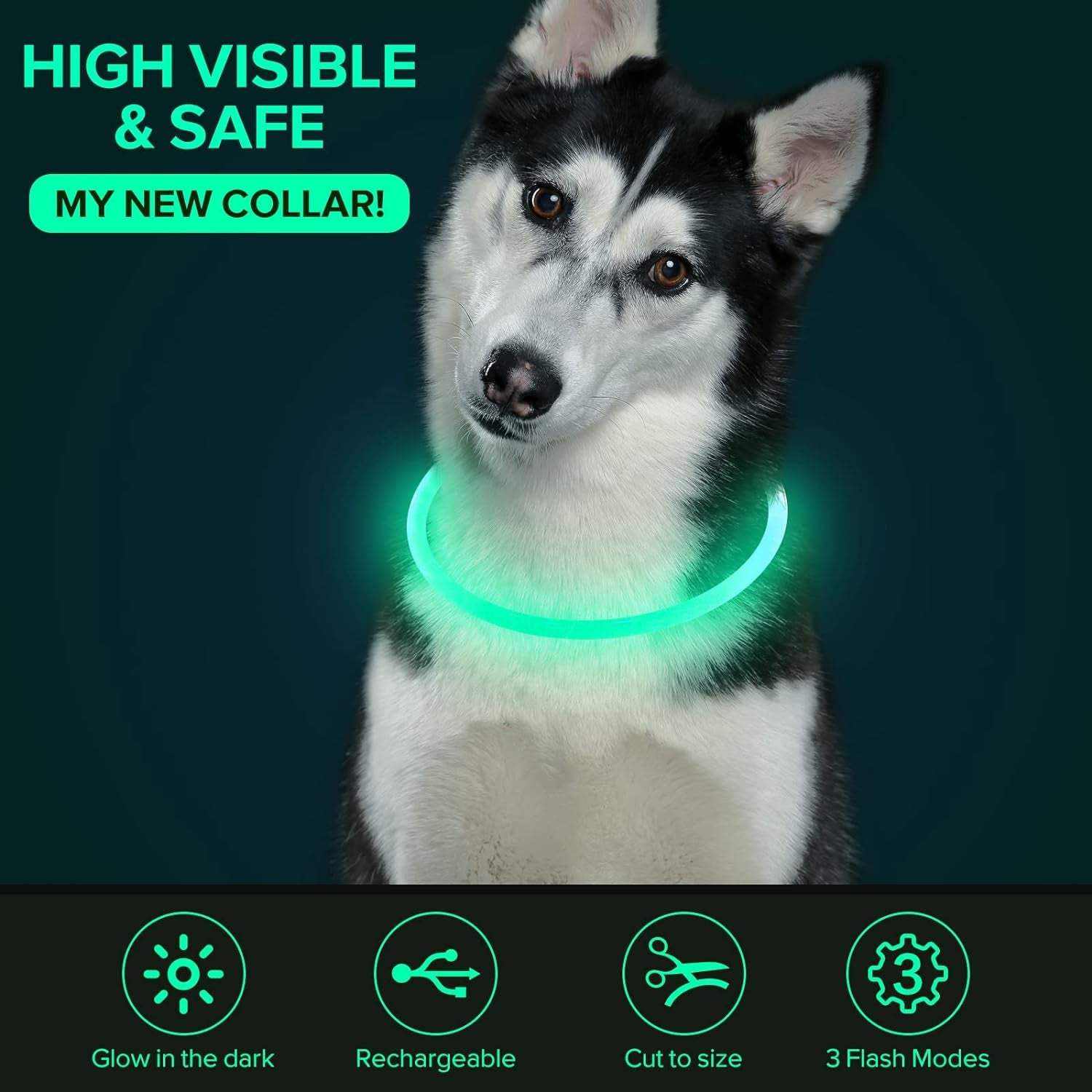 LED Dog Collar - Rechargeable TPU Glow Safety Collar for Dogs of All Sizes (Cyan)
