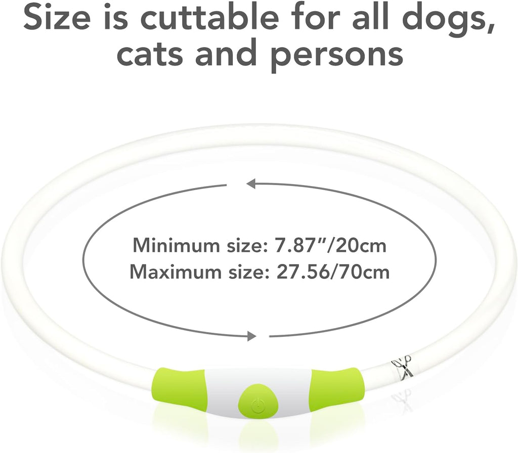 LED Dog Collar - Rechargeable TPU Glow Safety Collar for Dogs of All Sizes (Cyan)