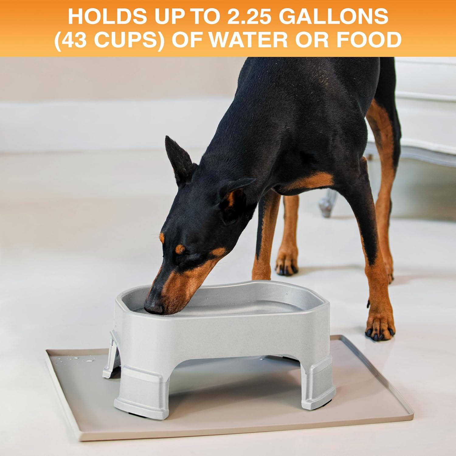 Extra Large Dog Water Bowl 2.25 Gallon – No Spill Outdoor Dog Bowl for Large Dogs | Heavy Duty Non-Slip Pet Water Dish