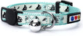 Premium Glow-in-the-Dark Cat & Dog Collar – Adjustable Reflective Design with Safety Breakaway Buckle and Bell, Teal